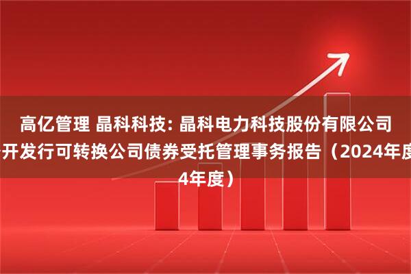 高亿管理 晶科科技: 晶科电力科技股份有限公司公开发行可转换公司债券受托管理事务报告（2024年度）