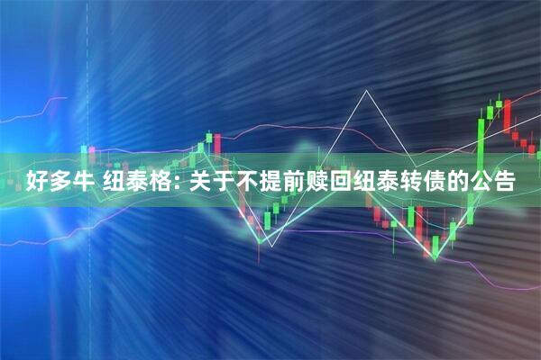 好多牛 纽泰格: 关于不提前赎回纽泰转债的公告