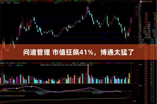 问道管理 市值狂飙41%，博通太猛了