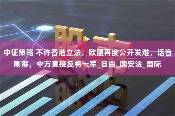 中证策略 不许香港立法，欧盟再度公开发难，话音刚落，中方直接反将一军_自由_国安法_国际