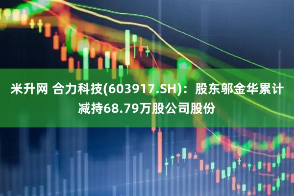 米升网 合力科技(603917.SH)：股东邬金华累计减持68.79万股公司股份