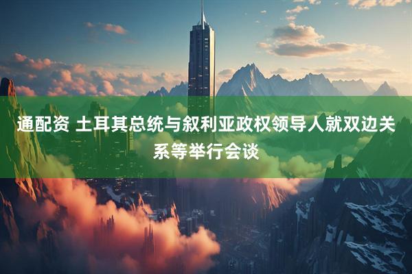 通配资 土耳其总统与叙利亚政权领导人就双边关系等举行会谈