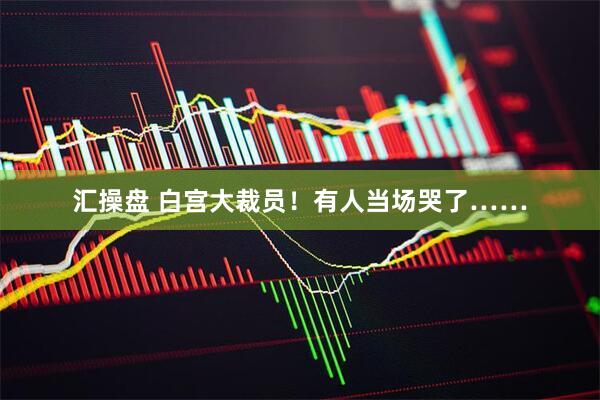 汇操盘 白宫大裁员！有人当场哭了……