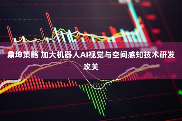 鼎坤策略 加大机器人AI视觉与空间感知技术研发攻关